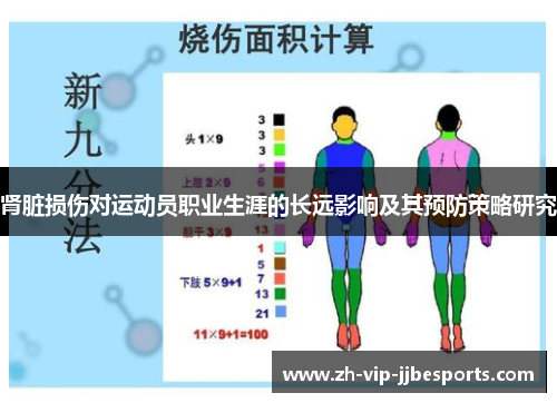 肾脏损伤对运动员职业生涯的长远影响及其预防策略研究