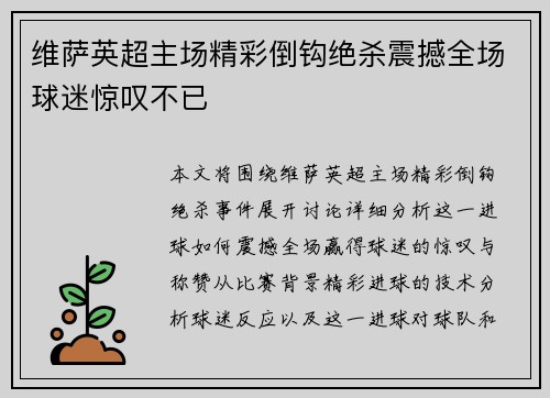 维萨英超主场精彩倒钩绝杀震撼全场球迷惊叹不已 维萨英超主场精彩倒钩绝杀震撼全场球迷惊叹不已